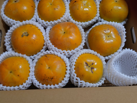 人気急上昇中の太秋柿　家庭用3キロ