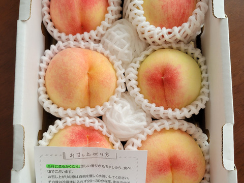 【岡山白桃】【数量限定】【農園直送】家庭用4玉～6玉