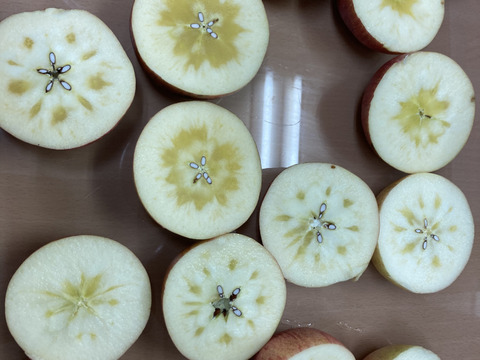 超遅もぎ！超大玉樹上完熟サンふじ3キロ6-9玉入　蜜入り期待大！かなり遅く収穫しました！