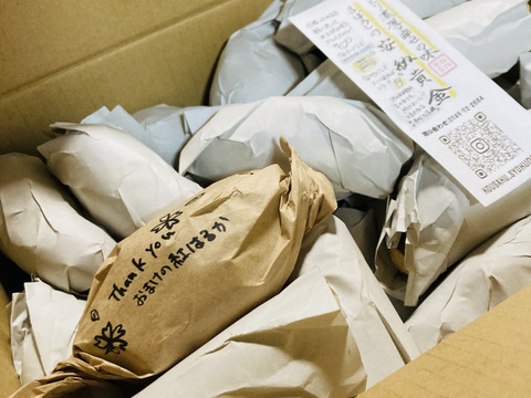 《予約販売》【熟成芋】希少な幻の安納芋🍠濃厚な甘味で蜜溢れ出る焼き芋が簡単に🍯プチサイズ「安納黄金」（4㎏）ひとつひとつ紙に包んで丁寧な包装で贈り物にも喜ばれます🎁熨斗OK【冬ギフト】お歳暮にも