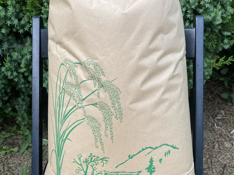 【新米】玄米といえば！茨城県産 ミルキークイーン 20kg【玄米】