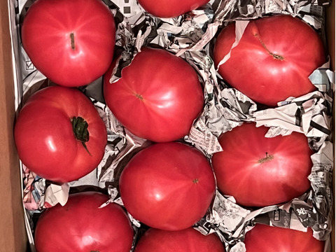 毎食トマト！栄ちゃんトマト　　Ｂ級品入り特大トマト　6キロ入り。
今年もデカい、美味い、ジューシー！
