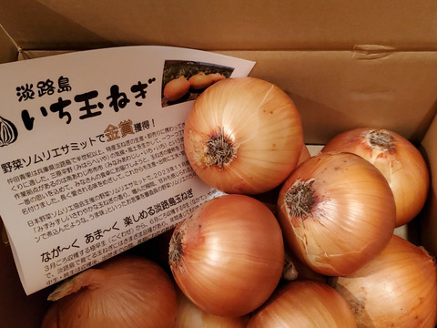 【野菜ソムリエサミット金賞農家🏆】淡路島新玉ねぎ5kg