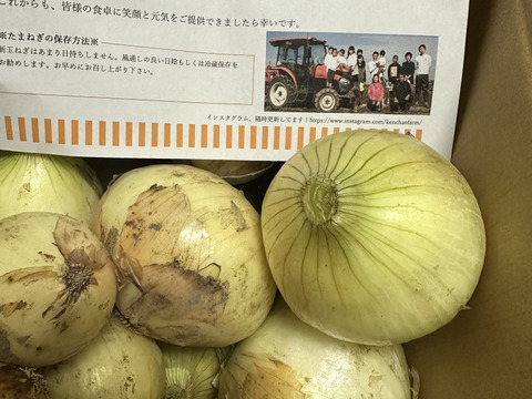 【訳あり】淡路島新玉ねぎ「早生種」 5kg