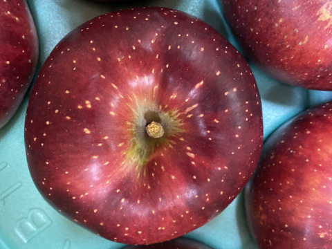 【秋映】贈答品（11~14玉）✨シャキッと食感！味も色も濃い秋のりんご！