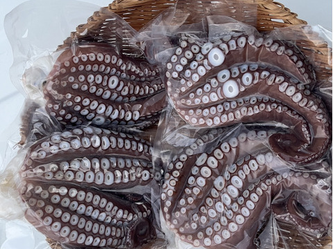 🌊 歴史と伝統が育む逸品！風間浦産「石だこ」（マダコ）　足4本×2パック