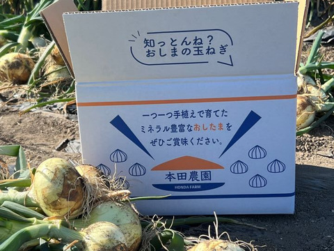生で食べても甘い！と評判の新玉ねぎ『おしたま』5kg    M サイズ