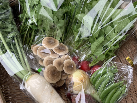 ギフトにも！きのこ入り！旬のお野菜セット　6-8品目　熨斗対応可＜農薬、化学肥料不使用＞【冬ギフト】