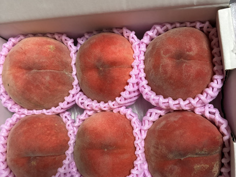 家庭用あかつき桃朝どり直送便1.5kg(5〜6玉入り)：福島県産のあかつき