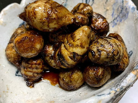 ぷりぷりむけるちいさな海老芋　京都伝統野菜　こえびちゃん1K