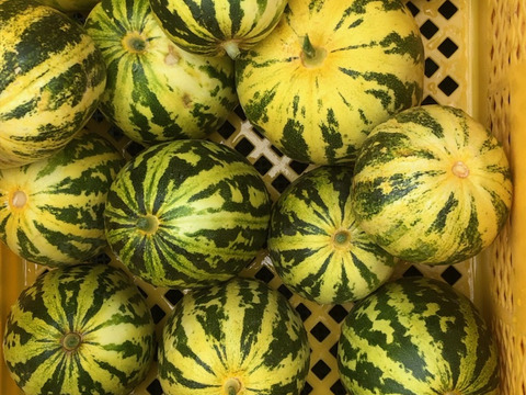 季節の野菜と果物のセット