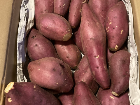 訳ありでもホックリサラリ！新品種「ゆきこまち」色々なサイズ入り  5キロ箱