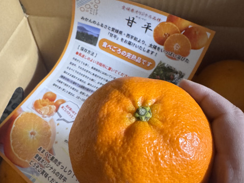 《ご家庭用》愛媛県限定品種『甘平』(5kg)