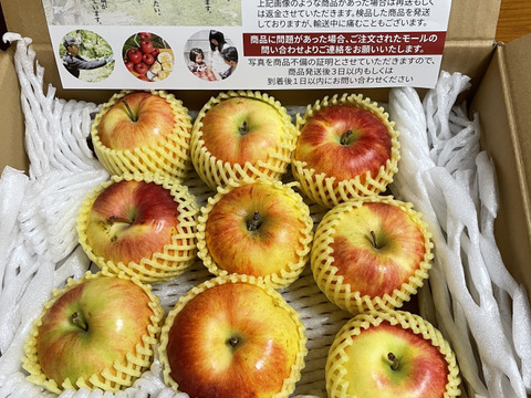 【家庭用】夏あかり 約2kg(7-16玉) シーズン最初のサッパリとした夏りんご 8月頃#NAN0B020