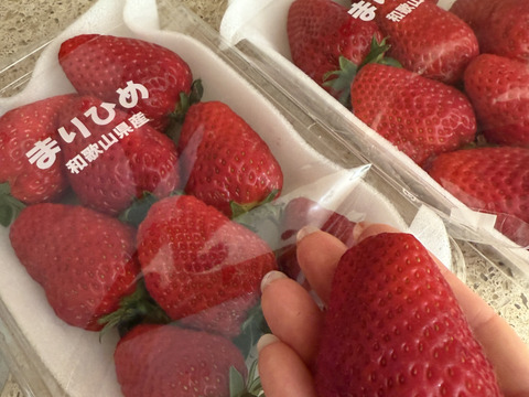 朝採りいちご　まりひめ　デラックスサイズ