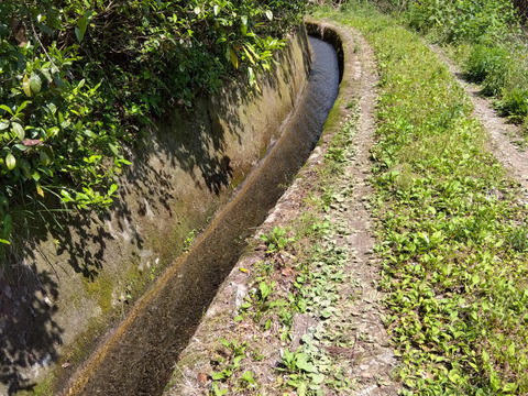 最終限定1箱　和歌山県橋本市産　低農薬約30キロ米　全国送料無料