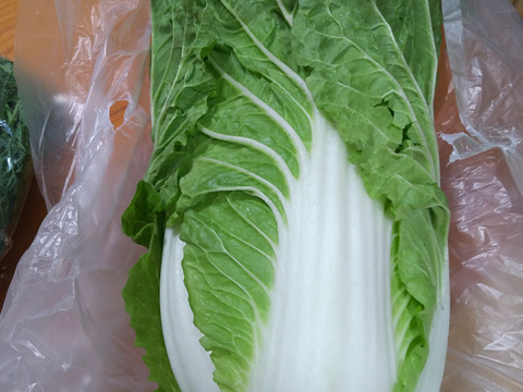 【未来をつくる笑み野菜】【ゲン担ぎ福袋】2990(福くる)季節のお野菜セット(8品〜9品程度)☆煎り落花生入り✩