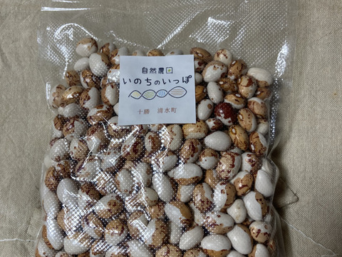 【数量限定】北海道2024年十勝産
珍しい！色々お豆の5種類セット