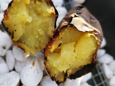 【さぁこ様専用】シルクスイート・ドライトマトセット