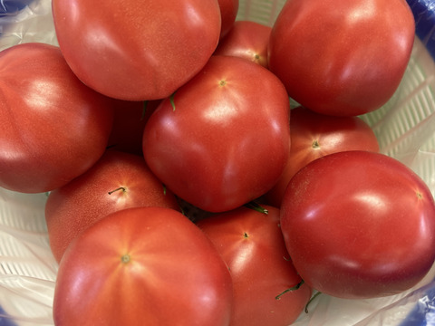 【ありさん専用】【24粒入り】SMサイズのこてらんねぇトマト