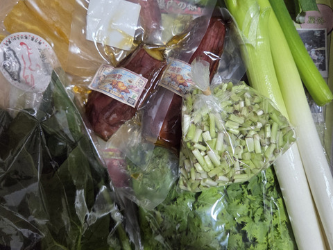 【定期】ニラ好き様😊中山間地域の美味しい野菜と季節のニラ便。その時採れるニラ、その他野菜は採れたて。加工品などを送ります。100サイズ。