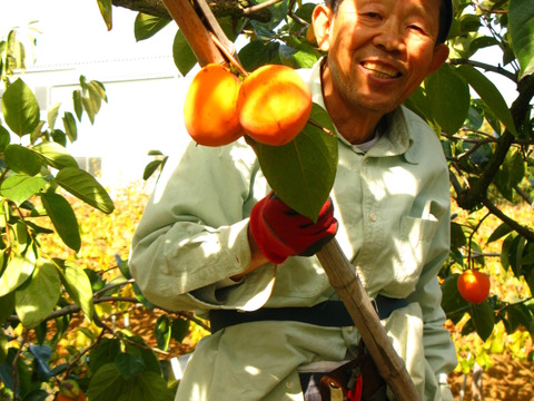 年末の大人の柿仕事：コレを食べれば勝手に元気になれる
