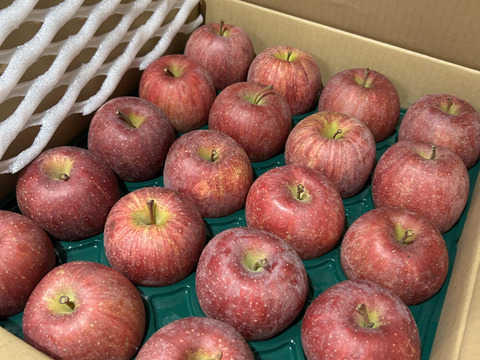 さんフジ 山形 朝日町産 贈答用 りんご 約5kg 18か20個入り