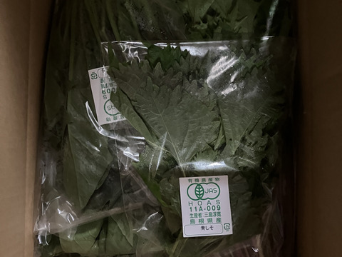 【リピーターの皆さまにオススメ！】選べる！有機野菜セット（6種）