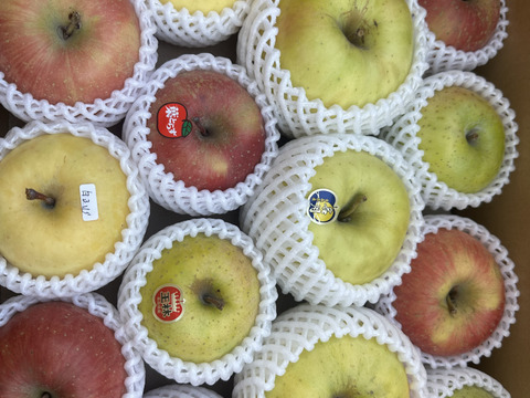 そのまんま「わんぱく箱」約5kg箱　12〜18玉入