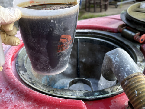 たっぷり果汁に甘さにキュン葉取らずトキ🍎6kg