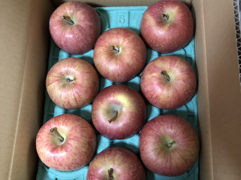 【朝市限定】大玉から発送‼️とことん味にこだわりました💪😊🍎青森県産葉取らず完熟ふじ3キロ‼️