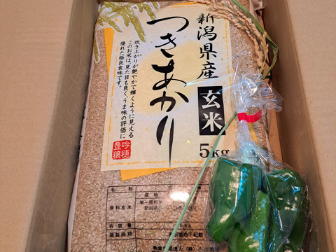新米 令和7年産 新潟県産 つきあかり 5キロ 玄米 お米 (72