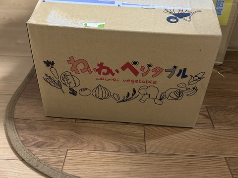 大地の恵み！淡路島完熟玉ねぎ🧅【シャーロットオニオン　輝玉（キラ玉✨）】(3kg)