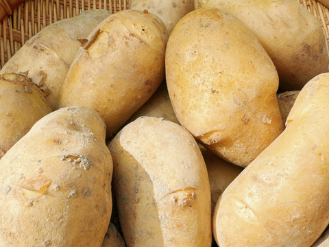 ミッキー様専用