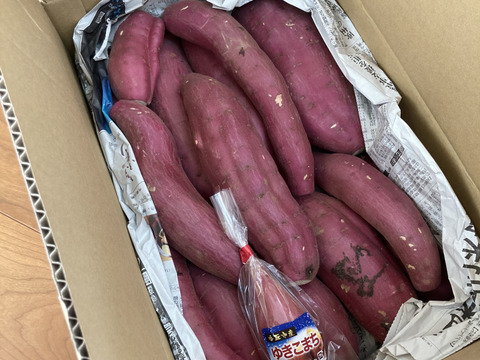 訳ありでも甘くねっとり！「紅はるか」色々なサイズ入り  5キロ箱