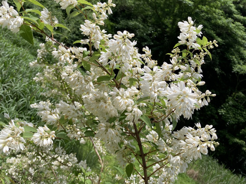 【冬ギフト】4種のハチミツさん160gx4  お熨斗、対応可。