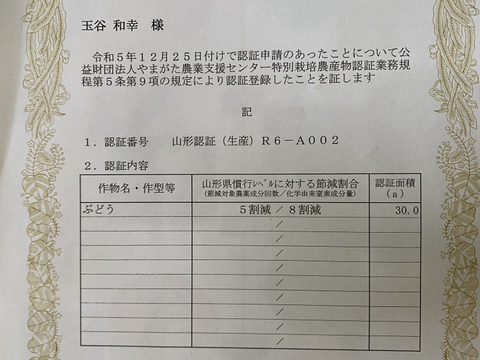 特別栽培ぶどうバイオレットキング♡山形県産♡大粒の次世代キングオブブドウ♡
