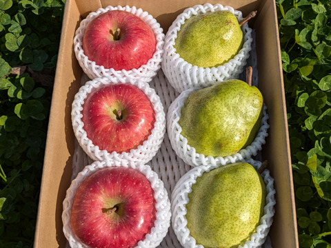 山形県産　ラ・フランスとサンふじりんご詰め合わせ　約2kg　家庭用ギフト用にどうぞ！