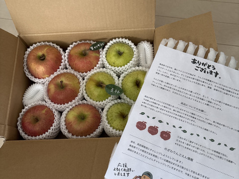 【冬ギフト】 🍎大人気🍏葉とらずふじ・王林  計9～15玉
詰め合わせ3キロ箱 ミックス ID118320