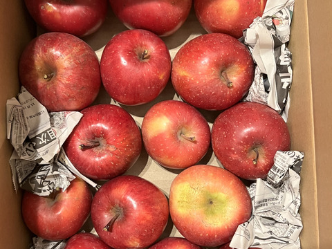 【今だけお買い得！訳あり★50%OFF★】家庭用葉とらずふじりんご3㎏【長野県産】