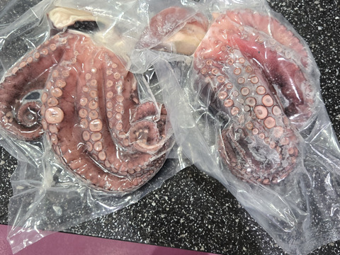 香川県産でやわらかい】ゆでタコ：香川県産のその他水産加工品