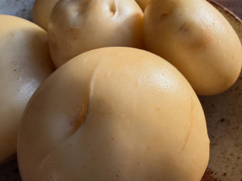 デジマ｜ホクホク旨味あふれる新じゃが　皮ごと食べられる島じゃがいも　２kg