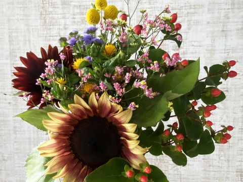 クール便、人気あり【もりもりお任せブーケ、20本／その3】プレゼントOK!花農家から直送！何が入るかはお任せですが、その日の一番きれいをお届けします。