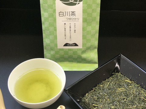 旨味1番 白川茶 つゆひかり 70g