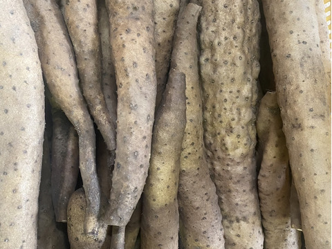 【鳥取県産】粘り抜群！ねばりっこ 1kg