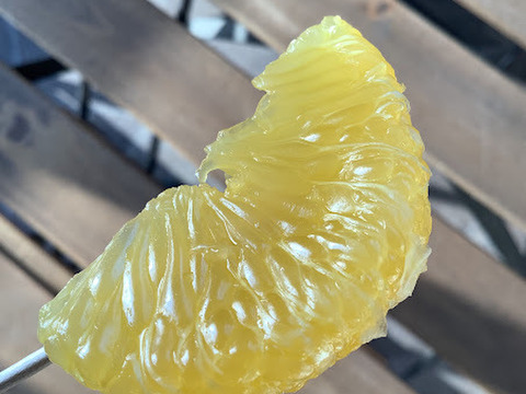 知多半島産　訳あり甘夏9ｋｇ【栽培期間中農薬不使用】