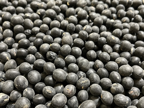 丹波篠山産　黒大豆（令和5年産）1000g 
日本農業遺産認定の黒豆