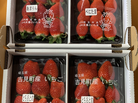 【あまりん・べにたま・とちおとめ】食べ比べ４パック(1Kg)🍓