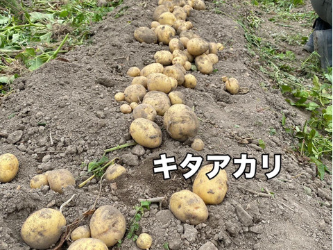 今夜は夏野菜カレーに決まり！夏野菜６品目セット　１人前