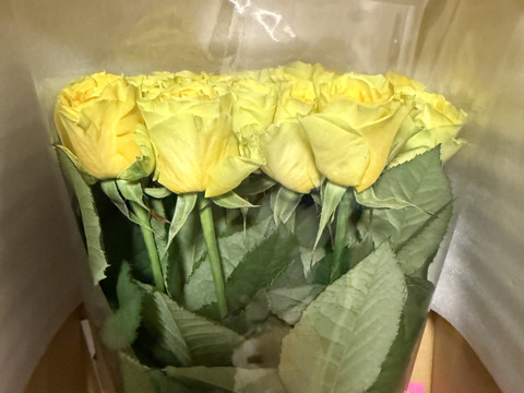 【イリオス15本】期間限定2月まで1日1束🍋レモンイエロー🍋【ご自宅用簡易ラッピング】